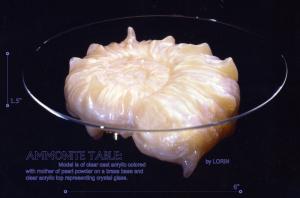 Ammonite Table